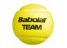 Babolat Team Tennis Balls - 1 Dozen