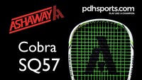 Ashaway Wallbanger and Cobra racketball review