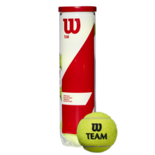 Wilson Team W Practice Tennis Ball - 4 Ball Can